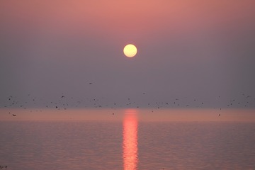 8F32196A-8F11-4FC4-860A-C4C350085F77/L0/001