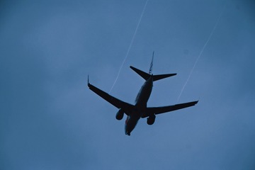 838C2AD7-D5B3-45D9-9C9E-8E7A2A14FEF2/L0/001