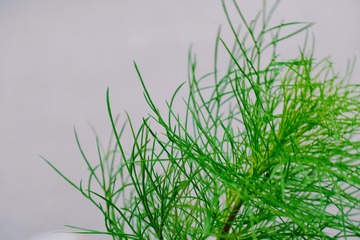 B002BC97-C45F-4AC1-819B-AFC41E990FF6/L0/001