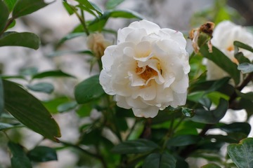 9EB483F0-3F2B-416C-9017-605672F208FE/L0/001