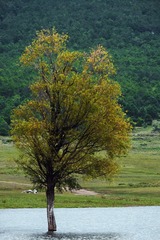 90D9AA55-8464-43D8-8A49-AD17733825B9/L0/001