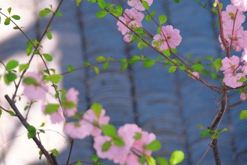 9E91FA10-E3F3-4FDD-8C07-0D9DA0BC94CB/L0/001