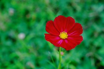 7D491854-8618-4D4F-9112-E7503FC20E6B/L0/001