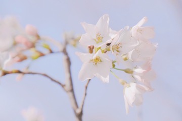 CB152639-45E4-40E4-B418-3E288C82DEB0/L0/001