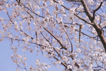 795DCD2F-9648-48EC-ABF9-A7CABD68A5E0/L0/001