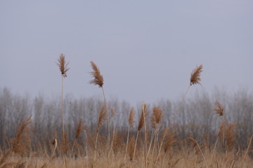1BA8932C-102C-49FB-9B80-1E630DB1581D/L0/001