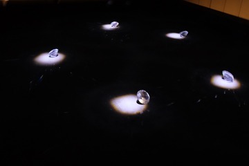 81BDB652-14B8-49C3-AC98-9618D2AE05E8/L0/001