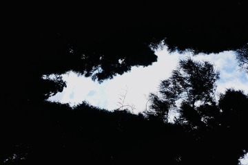 60684161-7910-4D1F-80E4-33848AFEF2C6/L0/001