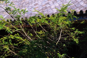 2B2E8015-5BAB-47D8-B91F-2490710806F8/L0/001