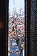 B4054799-F29C-42F9-B962-433E3630FF39/L0/001