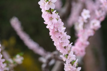 B288BCF0-4533-47FA-9D91-2B2D57492103/L0/001