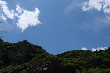 D3722526-B9C8-4D69-A260-E869DD61F5E9/L0/001