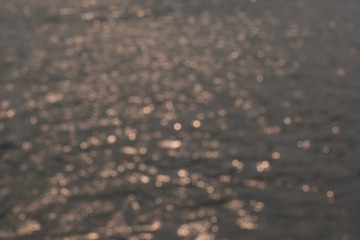 A0254A80-9A24-4CE2-ABA8-55D860F134D0/L0/001