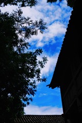 8B5B6478-7A8A-4C24-BDDB-179952A76EF7/L0/001