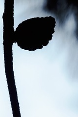 B68A6DC0-8577-485B-A315-503EF103B202/L0/001