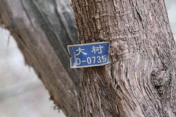 BFA95A3E-4EB7-41B2-B681-1F3EDDEA63AB/L0/001