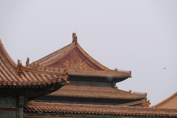 17E8F2F3-3ADA-4837-A3B4-B8A80D1754AA/L0/001
