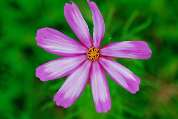 C51C1FA4-2EEB-49D7-A0F6-180097887339/L0/001
