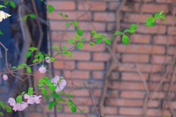 5871EE67-FA3F-4AA2-B3ED-70803F4D3756/L0/001