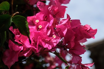 F59C2043-61A2-4009-A821-36EE161502CC/L0/001