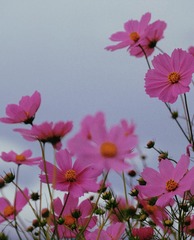 1644A5DC-A8C8-43CE-A0DC-AE2567F0B05B/L0/001