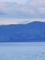A3C31118-CCFA-4AC7-85DF-E4698755D045/L0/001
