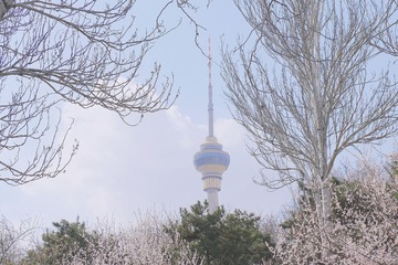 B52D7D14-5F65-4182-9E9B-687D40DBDE42/L0/001