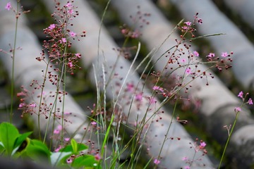 AD583F32-9992-4160-A660-4EF98B0AA2B1/L0/001