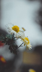 150838