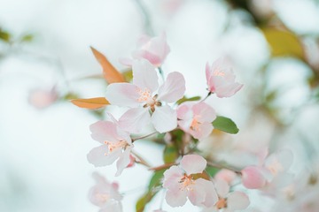 130965