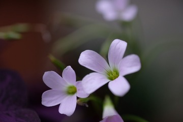 150361