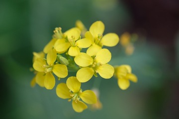 150362