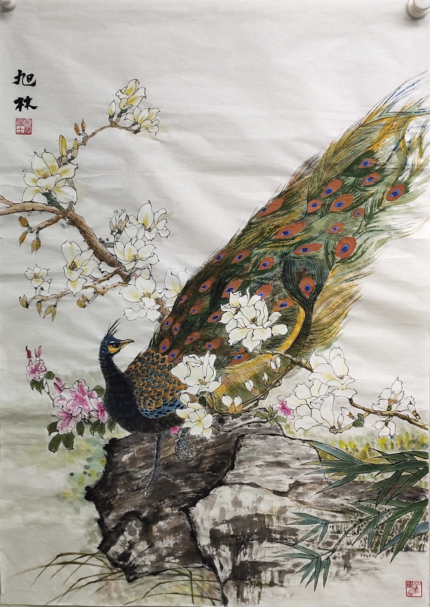 一周练习稿孔雀玉兰花