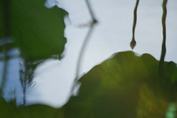 1000092149