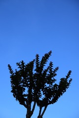 4C3C3B66-5DE6-4CEA-9DDB-643ACAE2513F/L0/001
