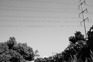 0303EF42-B7C7-4F85-A094-F7455BAB5CB1/L0/001