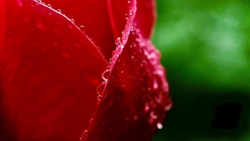 8927E32F-F540-44EB-B46C-D0EF3B196C55/L0/001