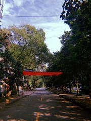 3903274