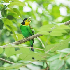 _DSC2009_1