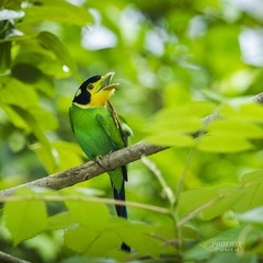 _DSC2009-1