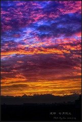 DSC_3599_
