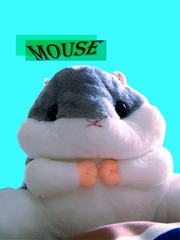 2557793