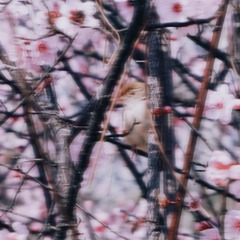 D1C2920B-2312-4641-846E-6E2A806F9B13/L0/001
