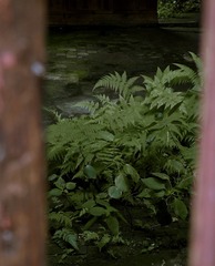 B6B69671-AE12-422E-9693-0F8846C373C9/L0/001