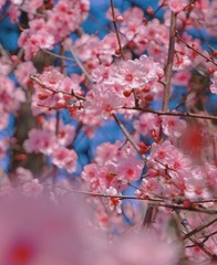 5A678874-A8C8-45E0-B494-8CD04AD65A64/L0/001