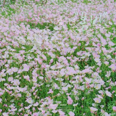 CEE3FD5A-34EE-4E55-951E-F1D7EB0D36CF/L0/001