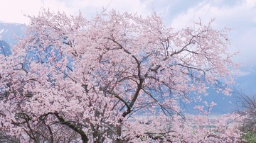 AD07CF31-3308-4B83-BD72-EB5C6F4957DA/L0/001