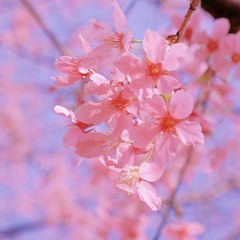 CF53C486-F2B8-4C71-9F0E-A28F6B33541F/L0/001