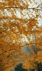 E2413BC4-26F1-48BF-95EC-544C7831595F/L0/001