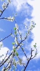 A7C2FA98-BA42-4A6F-9992-84B07539B9FA/L0/001